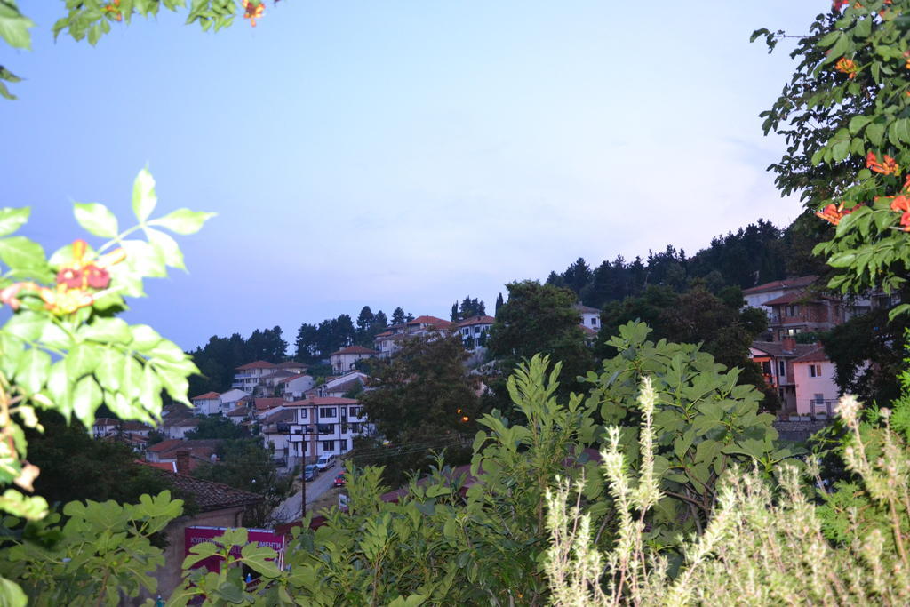 Villa Forum Ochryda Pokój zdjęcie